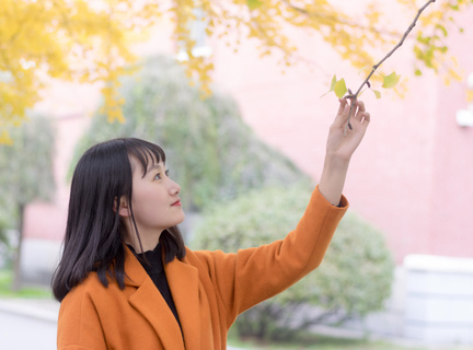 菲律宾大学国内认可度高吗